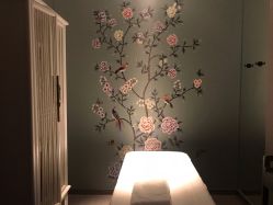 -奈瑞儿美颜美养SPA