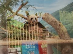 -南宁市动物园