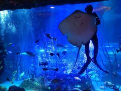 -沈阳海洋探索中心