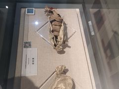-巴音郭楞蒙古自治州博物馆