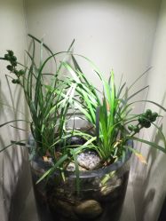 -周忆刺青原创设计定制