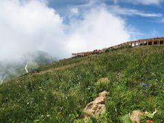 -白草畔自然风景区