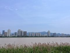 -江心屿景区