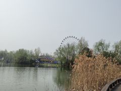 -洋湖国家湿地公园