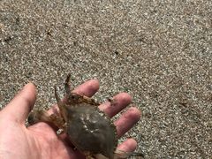-嵊泗基湖沙滩