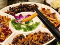 昆虫拼盘-醉云喃