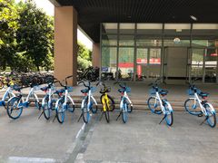 -琥珀老六龙虾(四里河店)