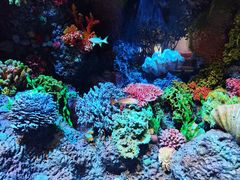 -中国湿地博物馆