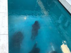 -金泽21世纪美术馆