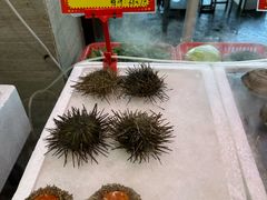 -蚝专家(北滘店)
