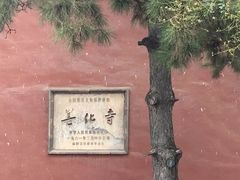 -善化寺