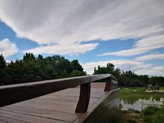 -北坞公园