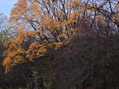 -维乐口腔医院(福清院)