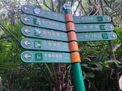 -野象谷景区