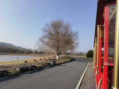 -径山花海