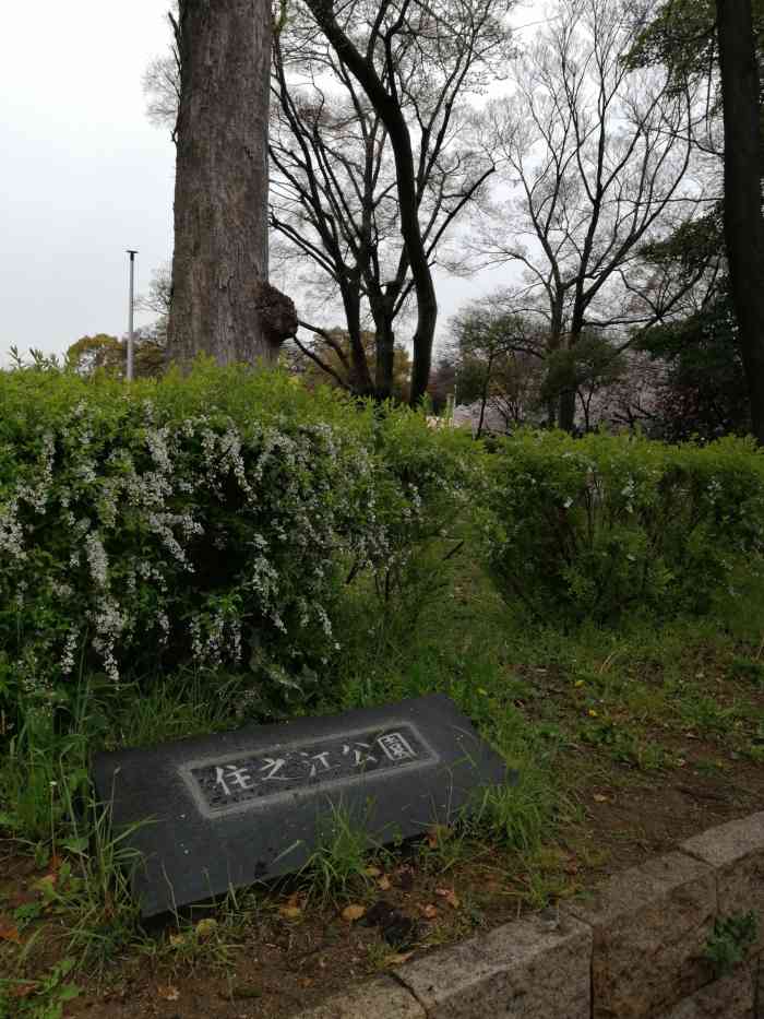 住之江公园-"来了日本怎么能不体验一次日式泡汤! ."-大众点评移动版