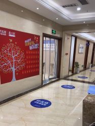 -碧莲盛·不剃发植发