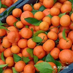 水果图片大全真实实拍 NL7b81v77rWHrbIDnCXKy6TcazewbXURIQ4mbGfE6UP4Fih5q7Hv5AZYTWKdG1SKuzFvxlbkWx5uwqY2qcjixFEuLYk00OmSS1IdNpm8K8sG4JN9RIm2mTKcbLtc2o2vfCF2ubeXzk49OsGrXt_KYDCngOyCwZK-s3fqawWswzk.jpg