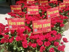 -赵记传承·中国甜品(福州总店)