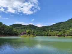 -广州白江湖森林公园