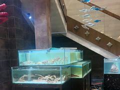 -樱之盛宴·蟹料理海鲜自助(前进大街店)