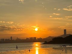 -深圳湾公园(南山区)