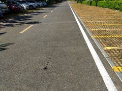 -羚羊峡古栈道森林公园