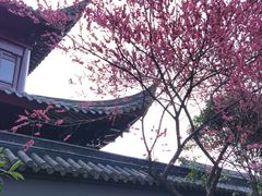 -圆通寺
