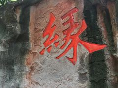 -杭州黄龙洞