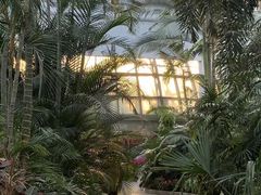 -郑州植物园
