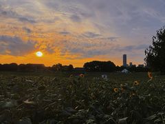 -苏州湾体育公园