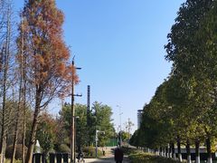 -五甲塘生态湿地公园