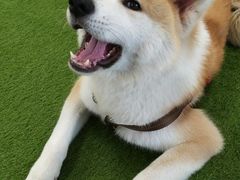 -YCHL Studios健身工作室(市二宫店)