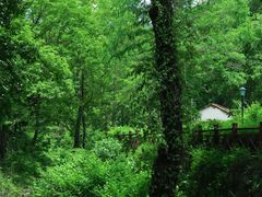 -素山寺森林公园