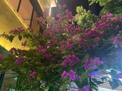 -小眼睛餐饮&杨杨夜宵