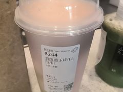 -喜茶(合肥中环城店)