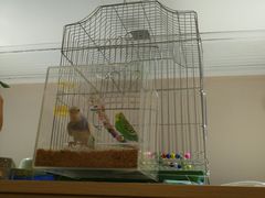 -Pets First伊珊娜洗护·精致美容·家庭式寄养(新会路店)
