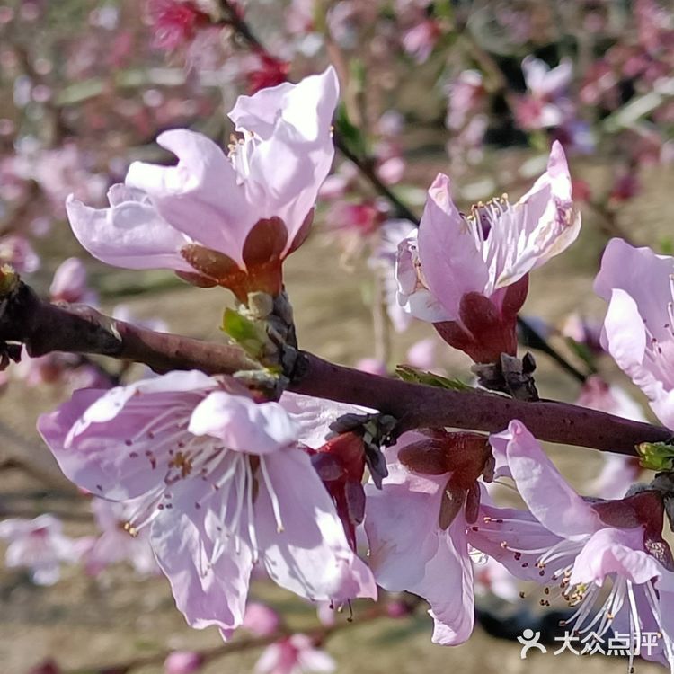 趁着蓝天去就对了