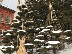 -北海道厅旧本厅舍(旧本庁舎)