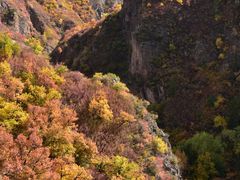 -西拉沐沦大峡谷园区