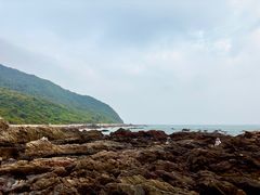 -西涌国际滨海旅游区