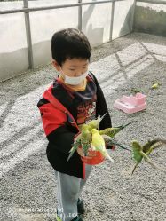 -萌宠亲子动物乐园(槐房万达店)