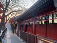 -莲花池公园