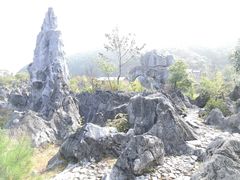 -千岛湖石林
