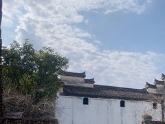 -东梓关景区村庄