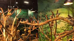 -Zoolung Zoolung动物主题公园(海信广场店)