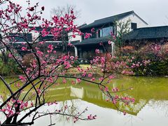 -雅达·阳羡溪山小镇中心
