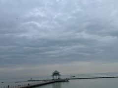 -苏州太湖西山岛开心农场