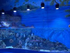 -海合安成都极地海洋公园