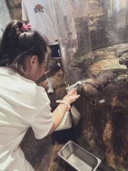 -Zoolung Zoolung动物主题公园(海信广场店)